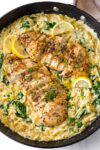Creamy Lemon–Herb Chicken Orzo Bake Mediterranean Comfort