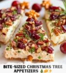 Mediterranean Bite Sized Christmas Tree Appetizers